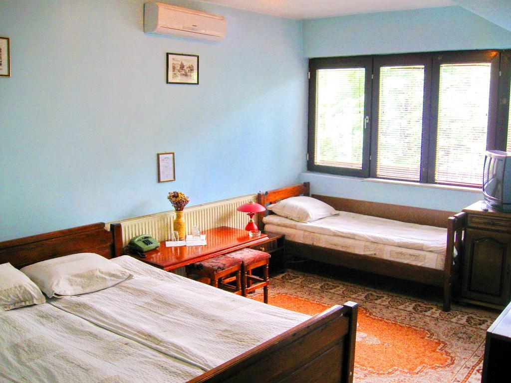 Amfora Rooms Caribrod Ντιμίτροβγκραντ Δωμάτιο φωτογραφία